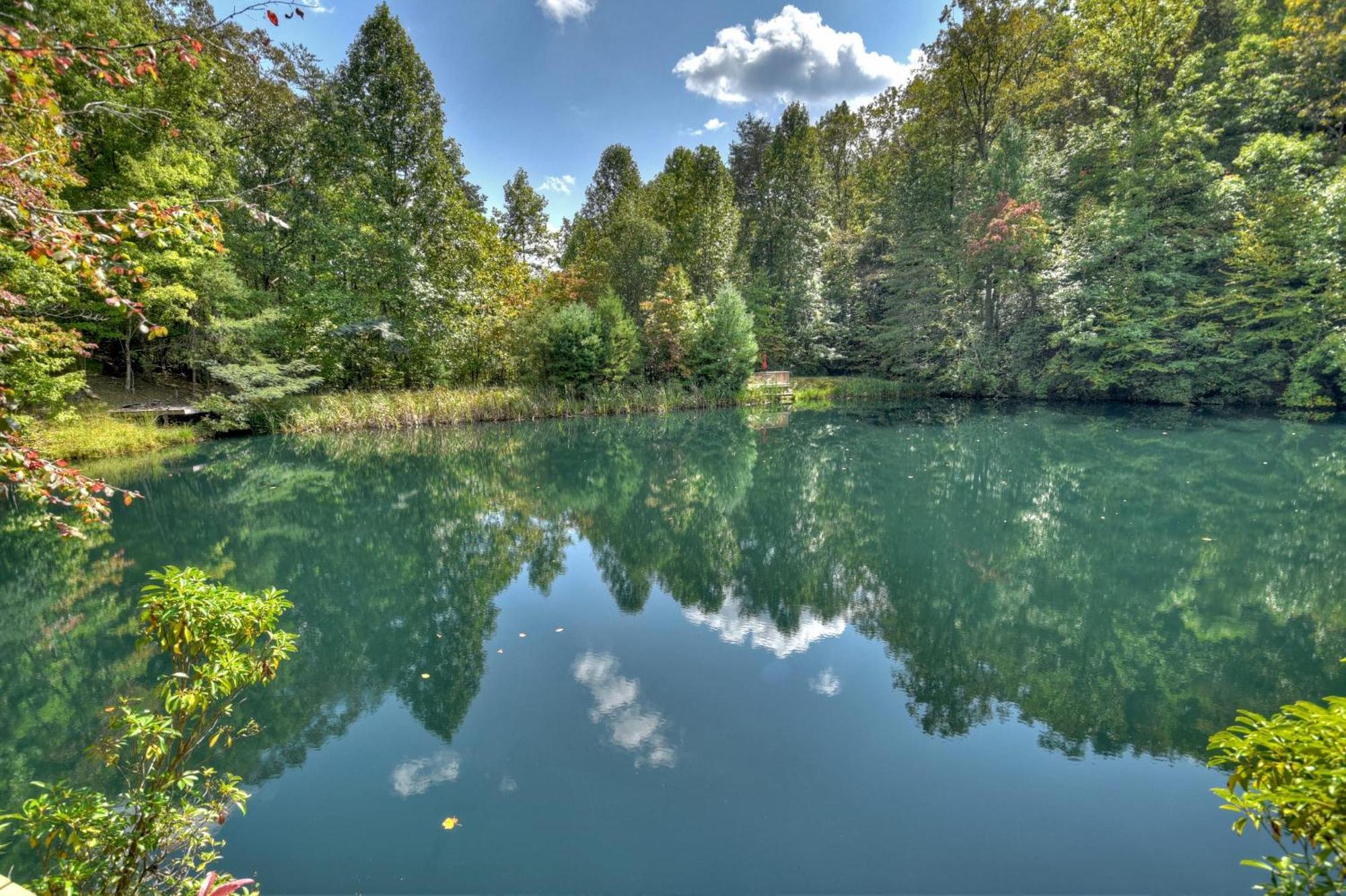 Waywish Waterfront Cabin In Blue Ridge Mountains Exterior photo