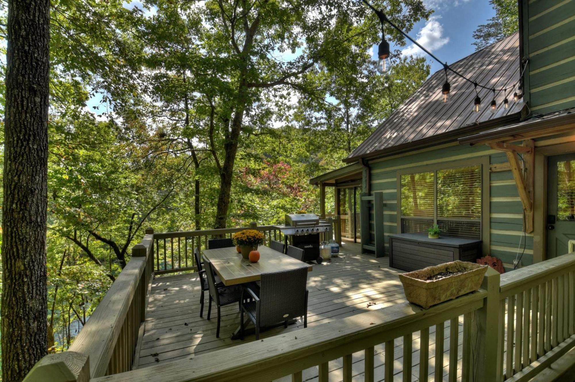 Waywish Waterfront Cabin In Blue Ridge Mountains Exterior photo
