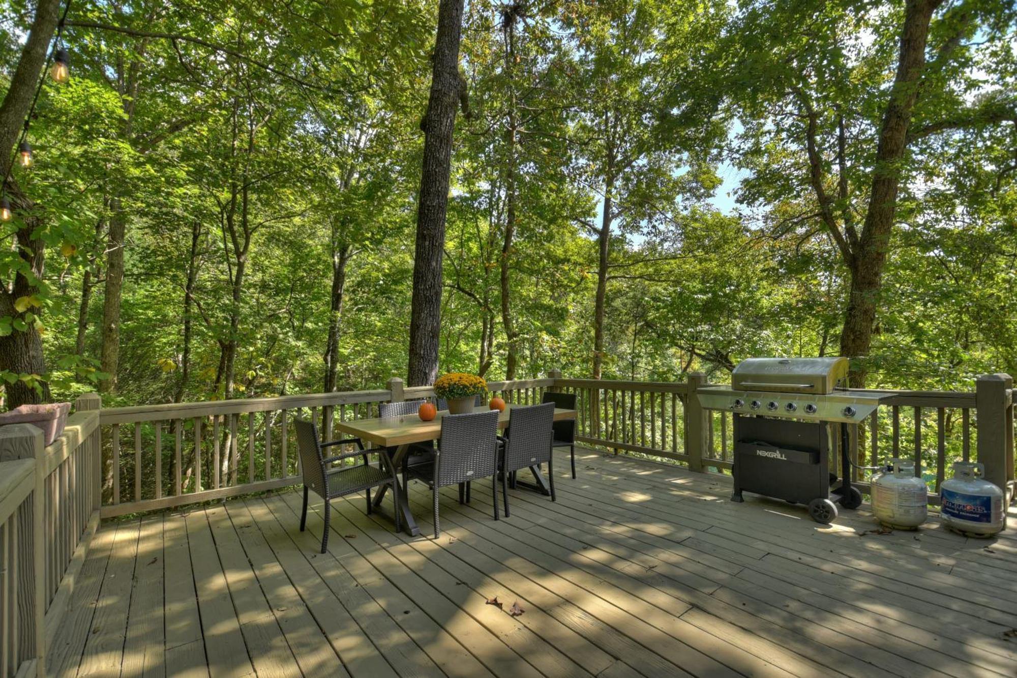 Waywish Waterfront Cabin In Blue Ridge Mountains Exterior photo